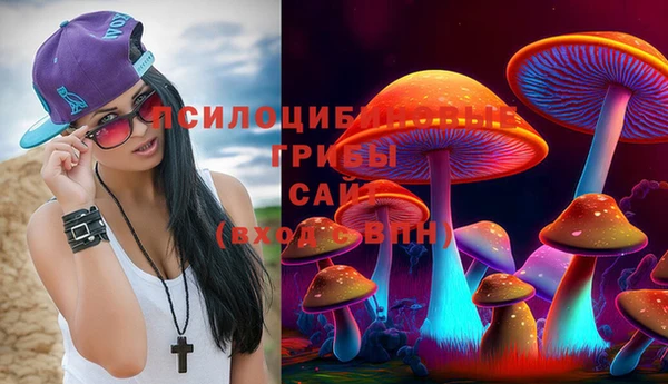 гашик Зерноград