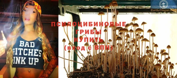 альфа пвп Заволжье