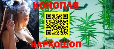 мяу мяу мука Аргун