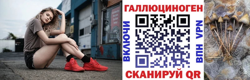 Псилоцибиновые грибы GOLDEN TEACHER Набережные Челны