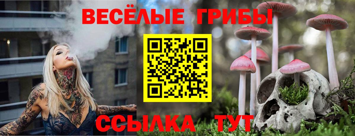 Псилоцибиновые грибы GOLDEN TEACHER  Вход с VPN  хочу   Набережные Челны 
